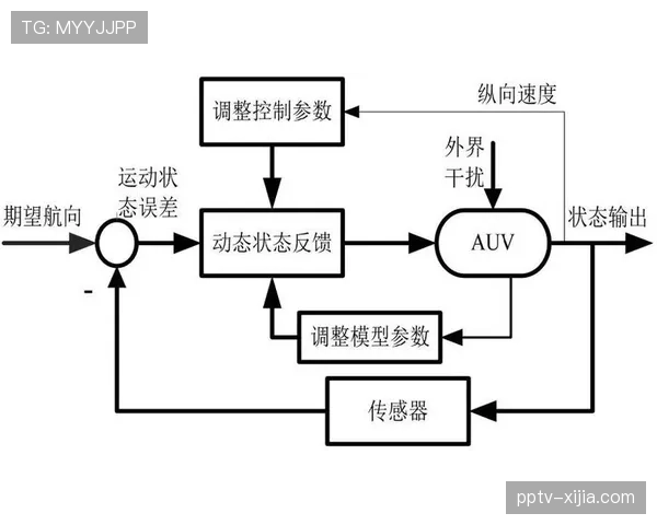 构建基于用户反馈的版权内容快速迭代机制。